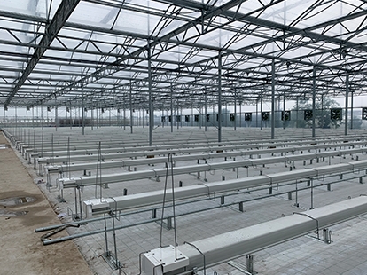 上海國興農(nóng)項目