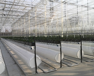 植物根部通風(fēng)循環(huán)系統(tǒng)