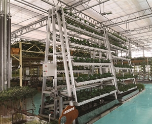 電動(dòng)驅(qū)動(dòng)