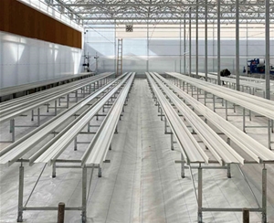 花卉育苗栽培槽種植系統(tǒng)